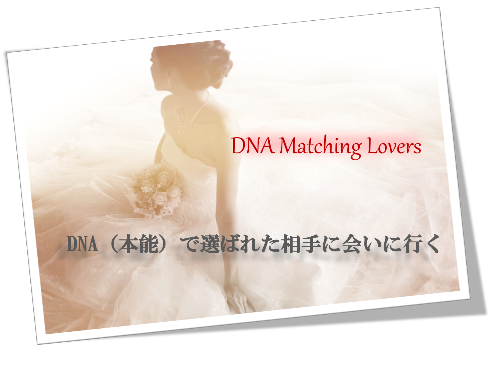 dnaマッチングlovers